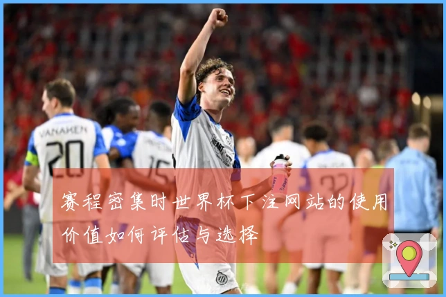 赛程密集时世界杯下注网站的使用价值如何评估与选择