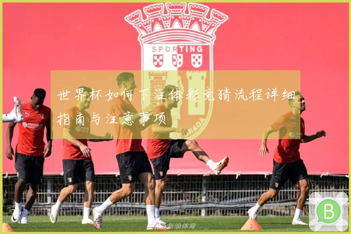 世界杯如何下注体彩竞猜流程详细指南与注意事项